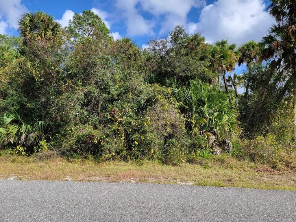 Butterfly Lane North Port FL 34288 A4531580 image1