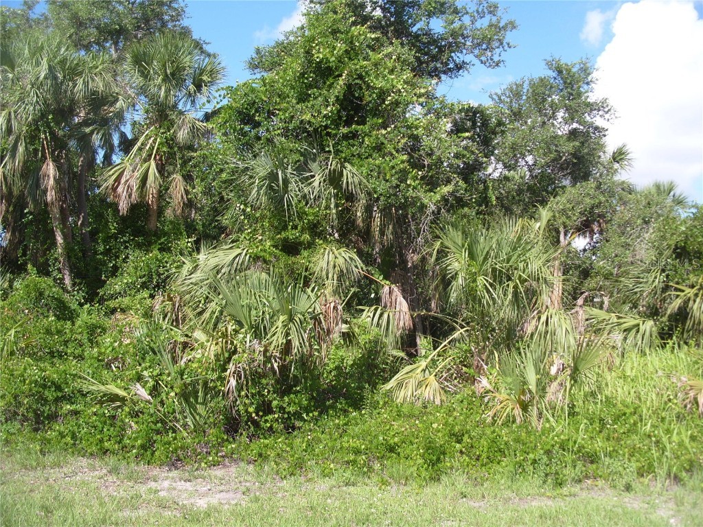 Butterfly Lane North Port FL 34288 C7476719 image1