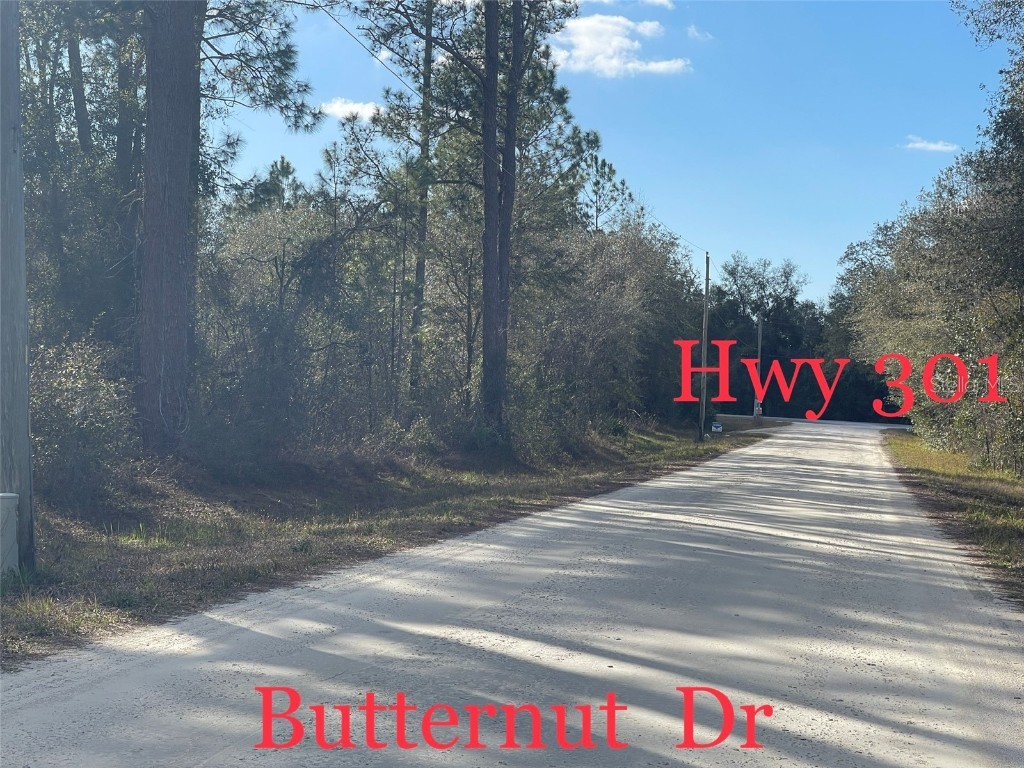 Butternut Drive Webster FL 33597 G5092494 image1