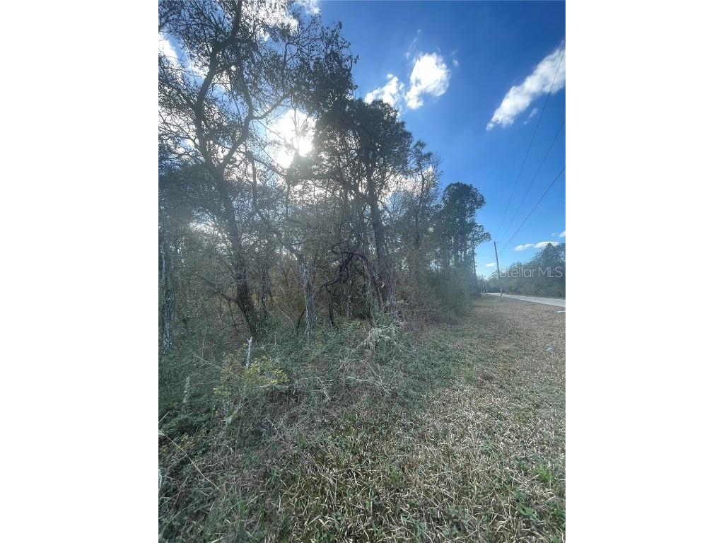 Butternut Drive Webster FL 33597 G5092494 image10