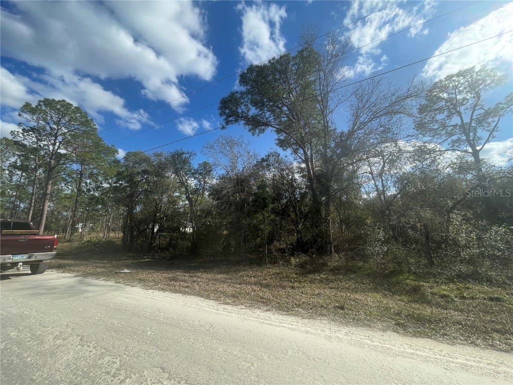 Butternut Drive Webster FL 33597 G5092494 image11