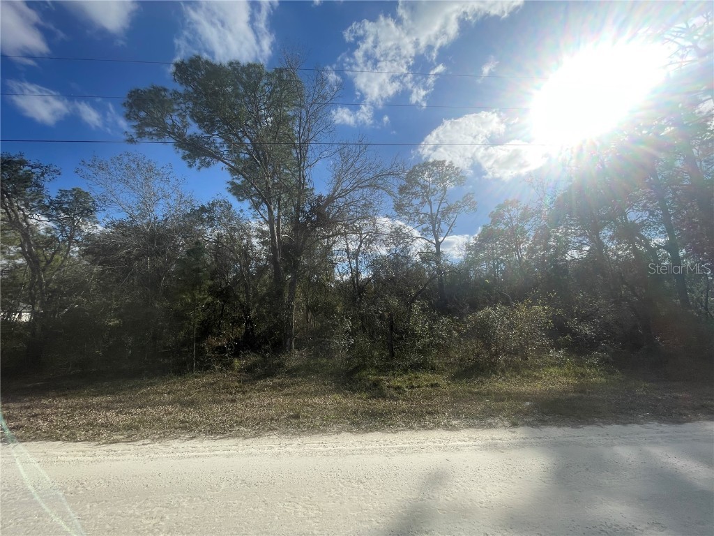 Butternut Drive Webster FL 33597 G5092494 image13