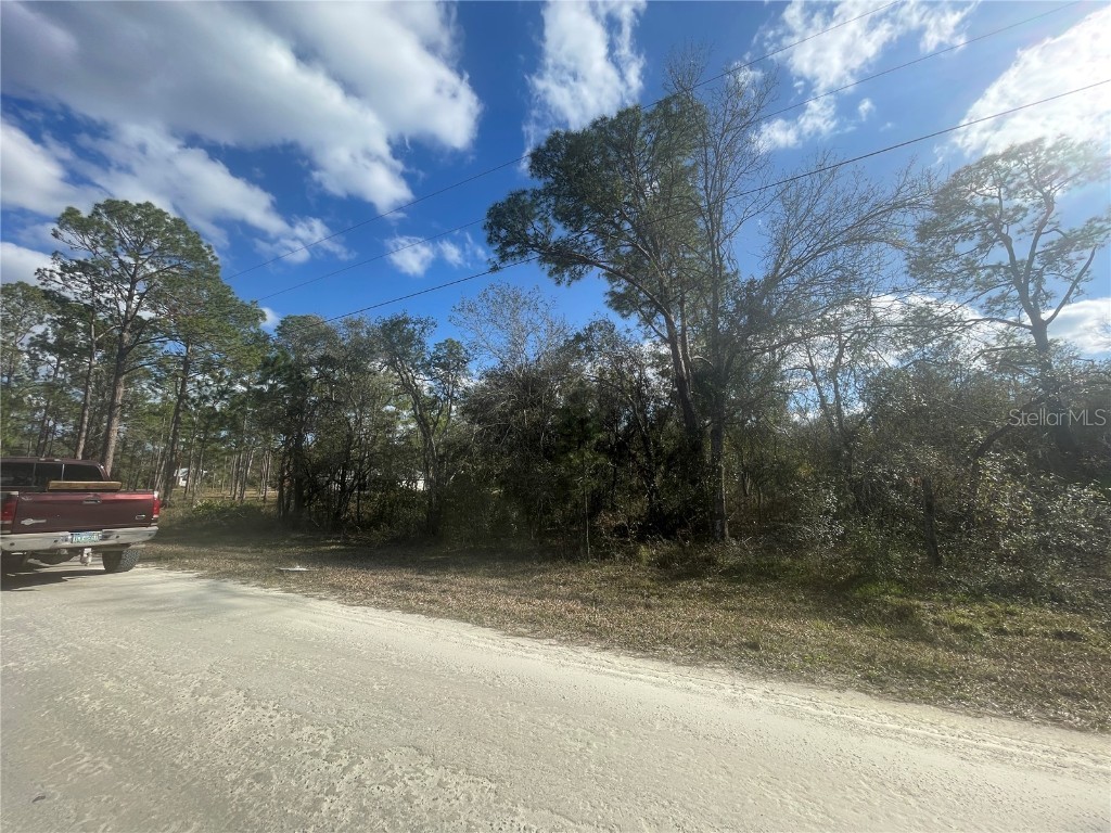 Butternut Drive Webster FL 33597 G5092494 image14