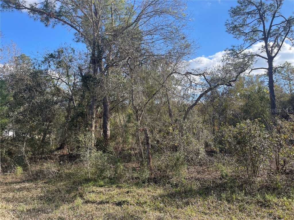 Butternut Drive Webster FL 33597 G5092494 image15