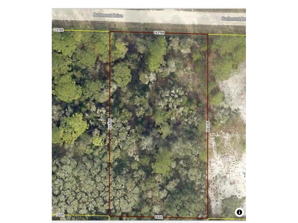 Butternut Drive Webster FL 33597 G5092494 image2