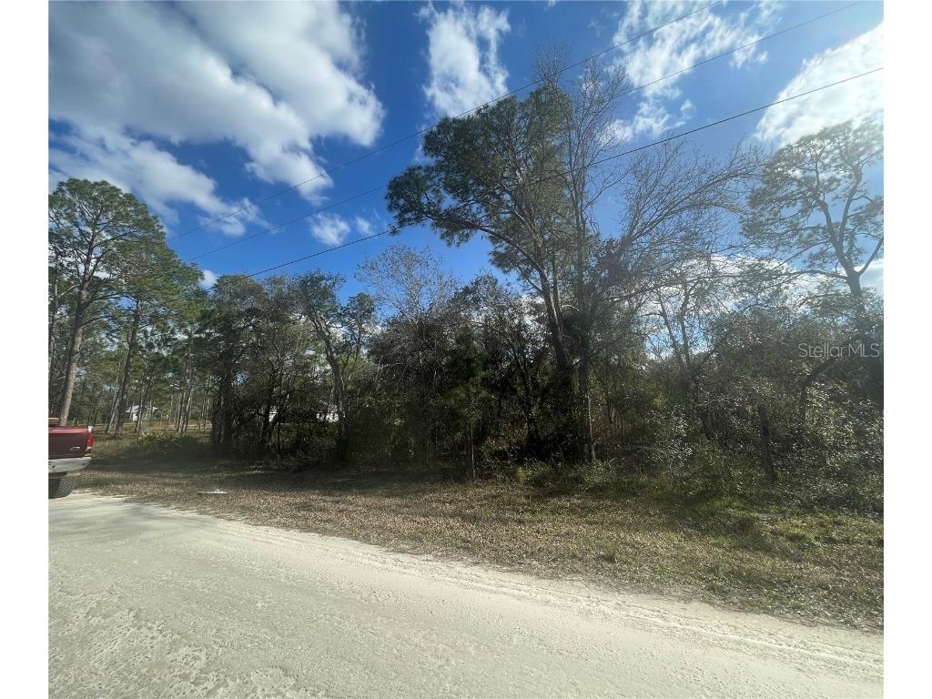 Butternut Drive Webster FL 33597 G5092494 image3