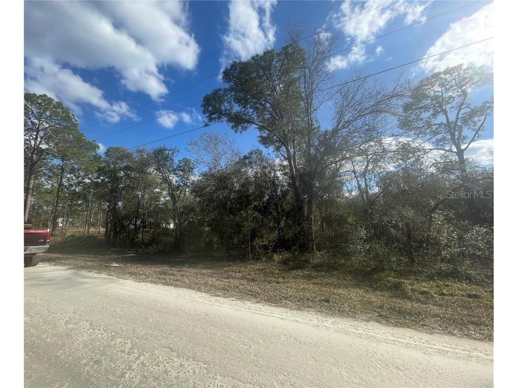 Butternut Drive Webster FL 33597 G5092494 image4