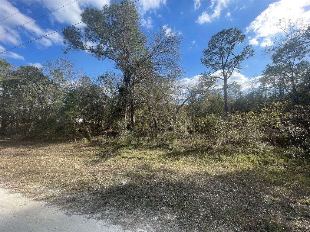 Butternut Drive Webster FL 33597 G5092494 image7