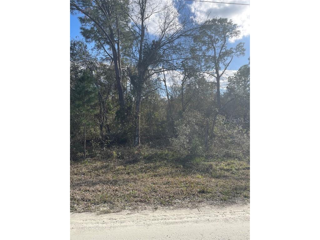 Butternut Drive Webster FL 33597 G5092494 image8