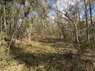  Bell FL 32619 GC536759 image1