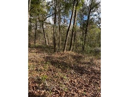  Bell FL 32619 GC536759 image10