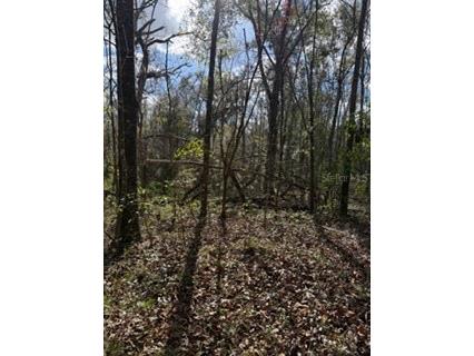  Bell FL 32619 GC536759 image11