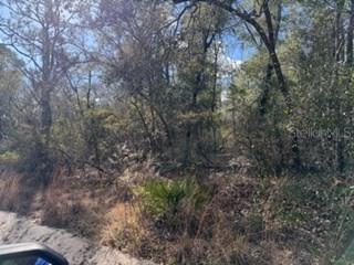  Bell FL 32619 GC536759 image2