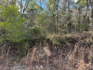  Bell FL 32619 GC536759 image3