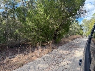  Bell FL 32619 GC536759 image4