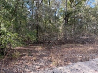  Bell FL 32619 GC536759 image5