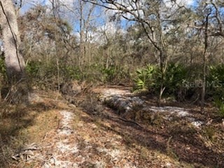  Bell FL 32619 GC536759 image6