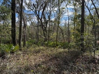  Bell FL 32619 GC536759 image8