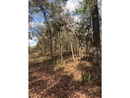  Bell FL 32619 GC536759 image9