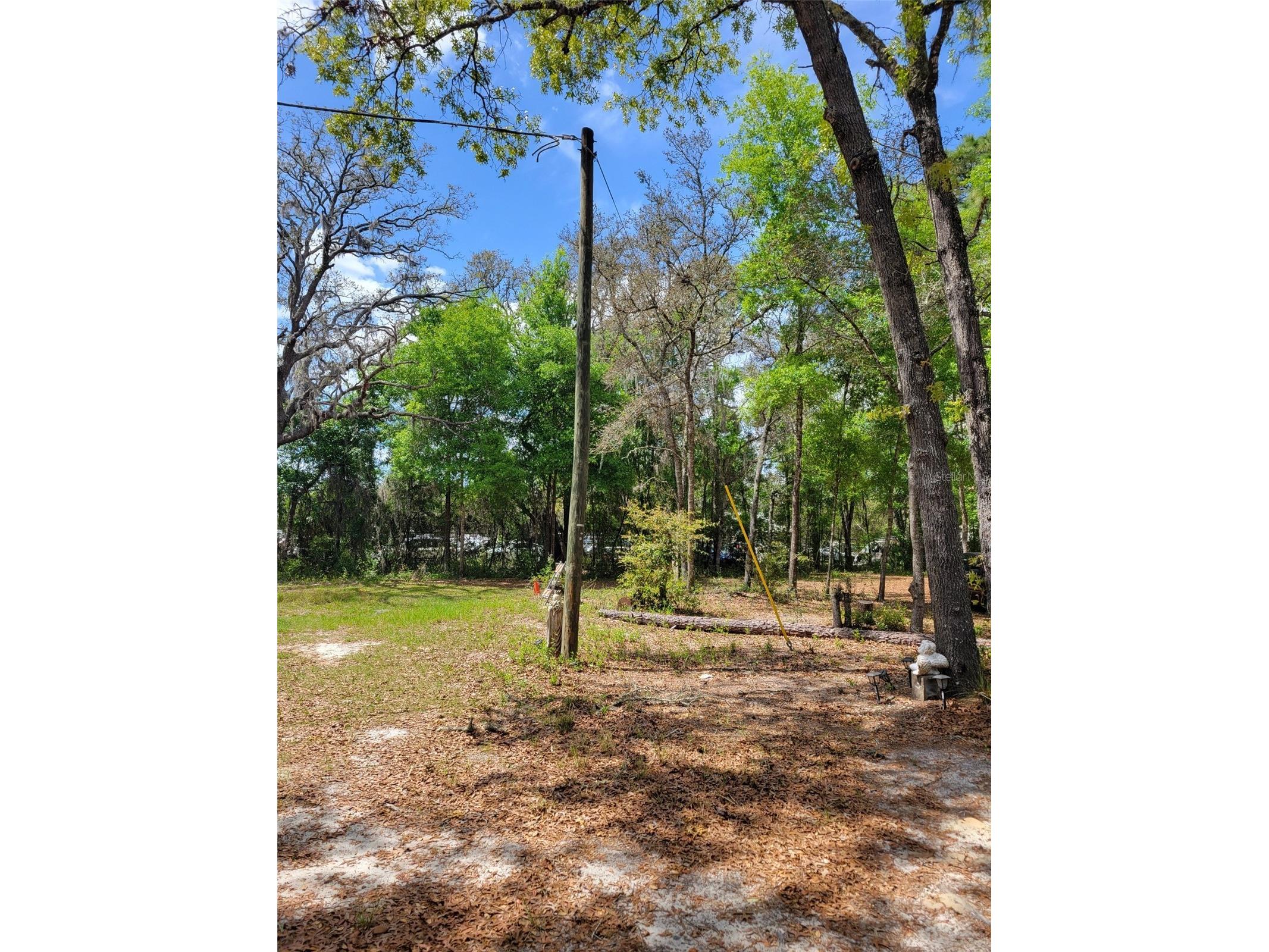  Belleview FL 34420 OM724617 image10