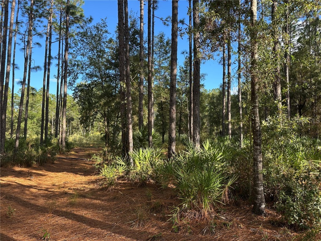  Beverly Hills FL 34465 TB8439393 image1