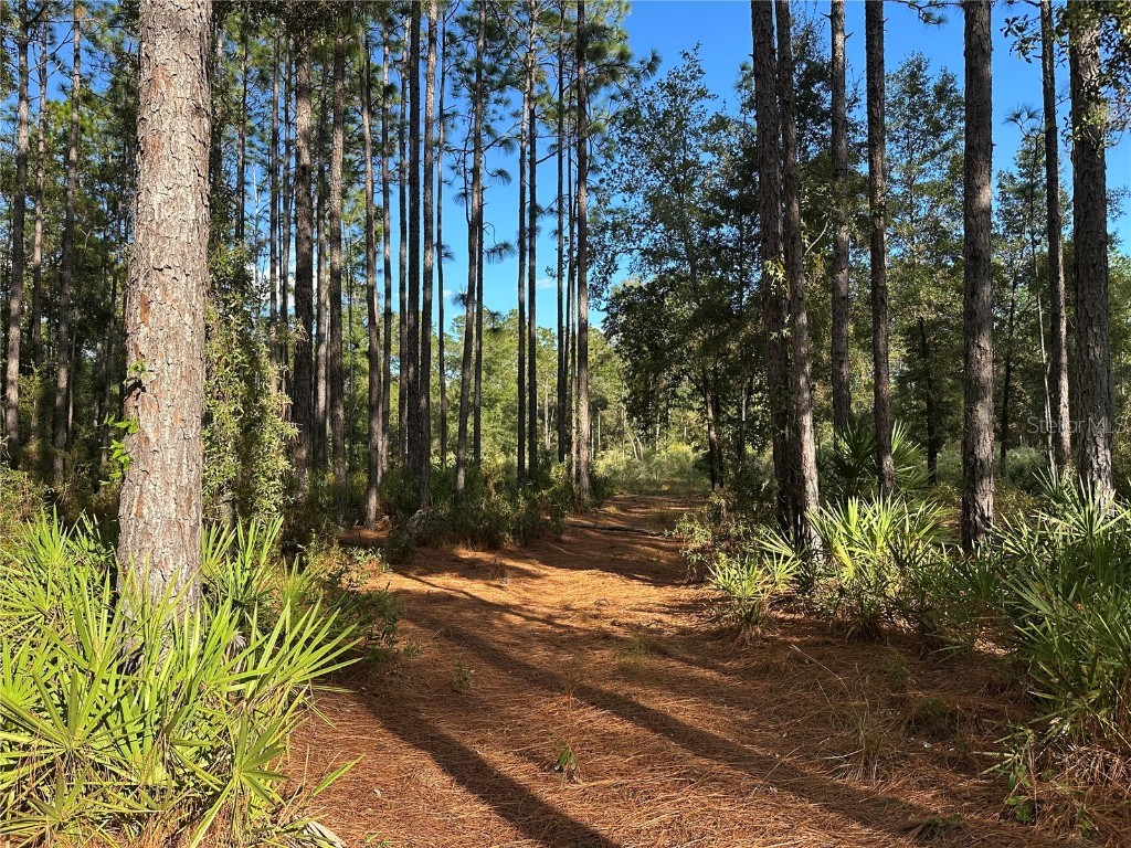  Beverly Hills FL 34465 TB8439393 image2