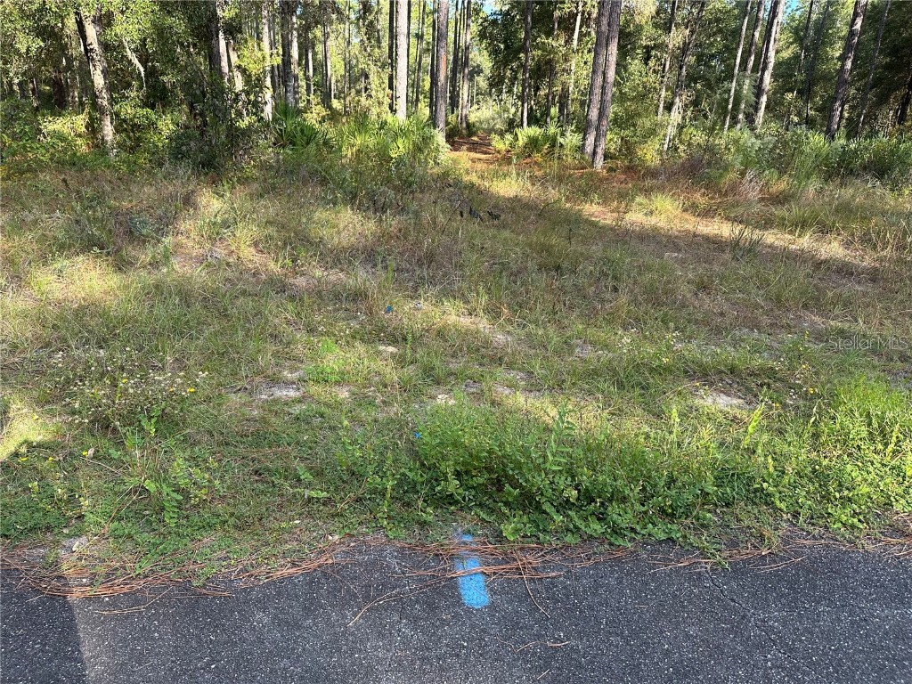  Beverly Hills FL 34465 TB8439393 image4