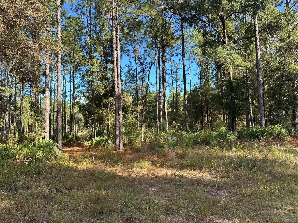  Beverly Hills FL 34465 TB8439393 image5