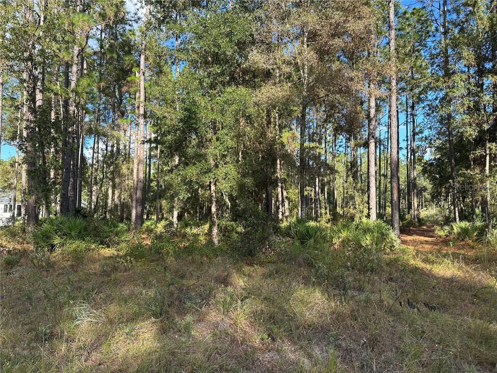  Beverly Hills FL 34465 TB8439393 image6