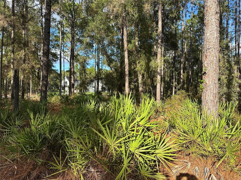  Beverly Hills FL 34465 TB8439393 image7