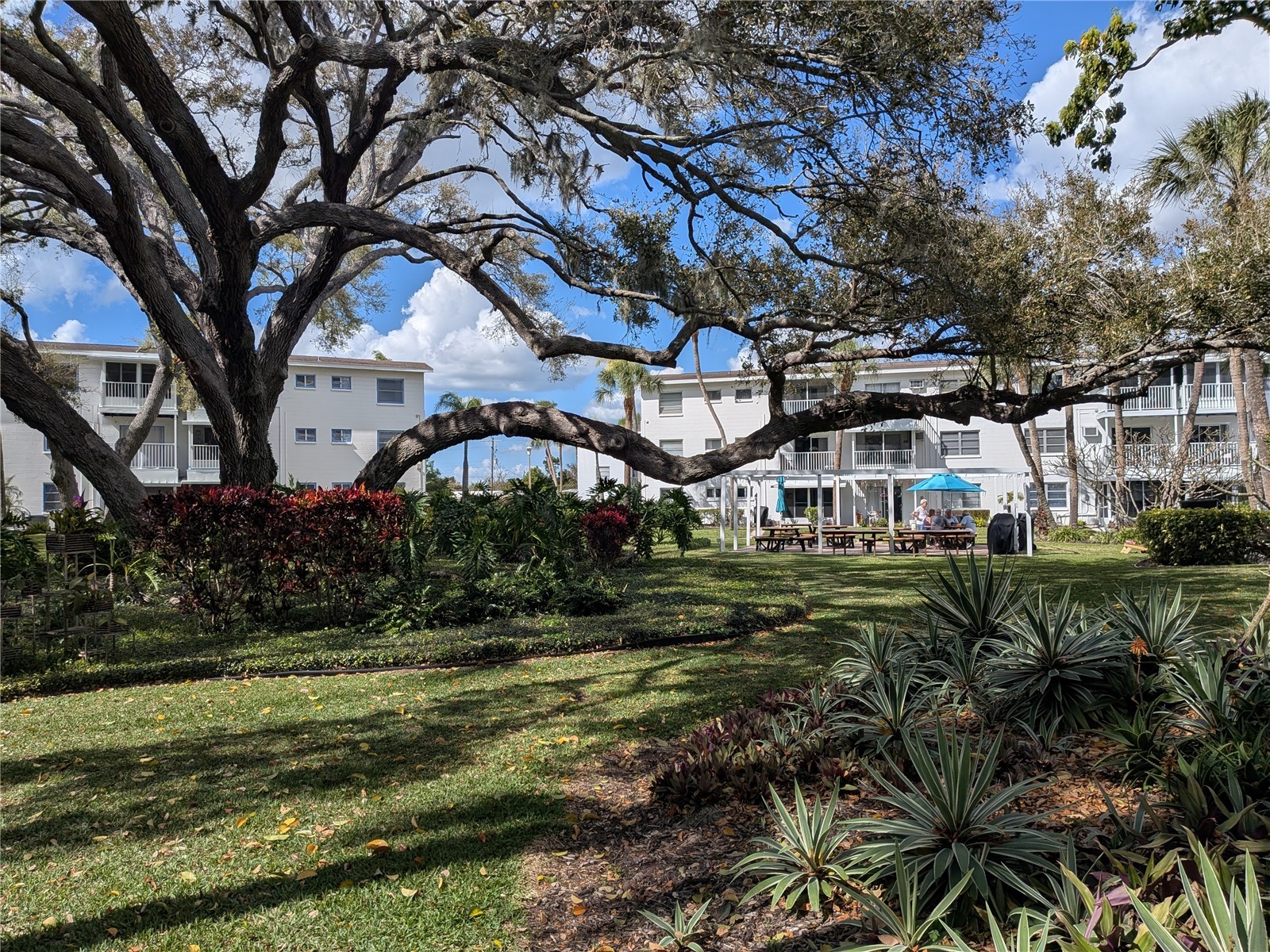  Bradenton FL 34207 A4684625 image36