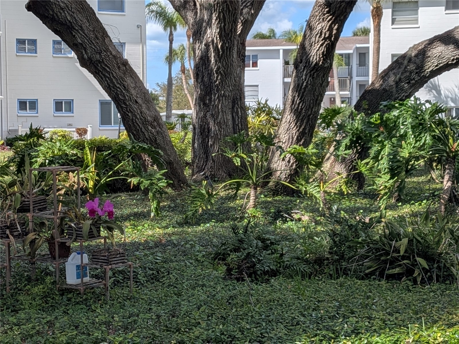  Bradenton FL 34207 A4684625 image39