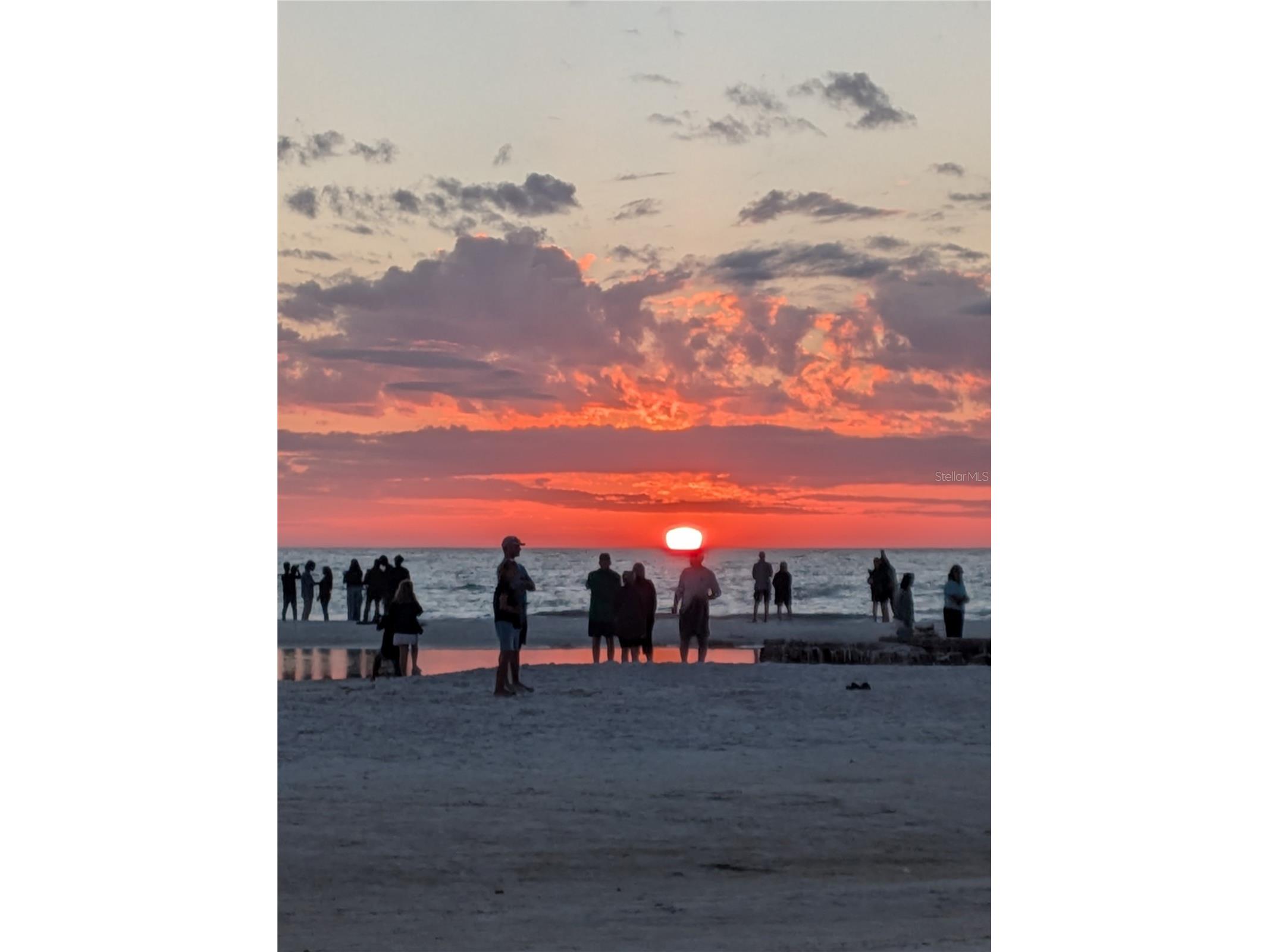 Bradenton FL 34207 A4684625 image43
