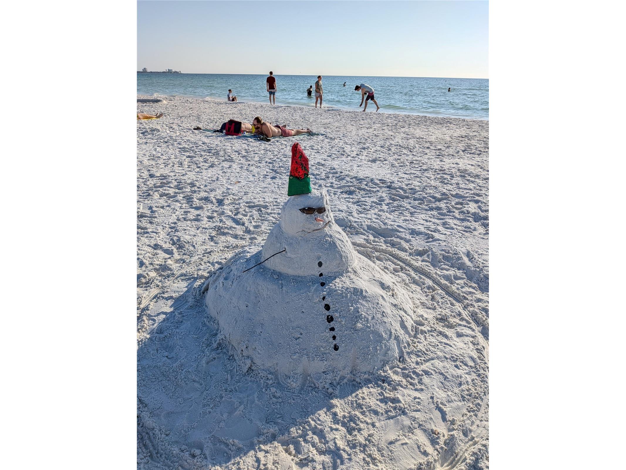  Bradenton FL 34207 A4684625 image48