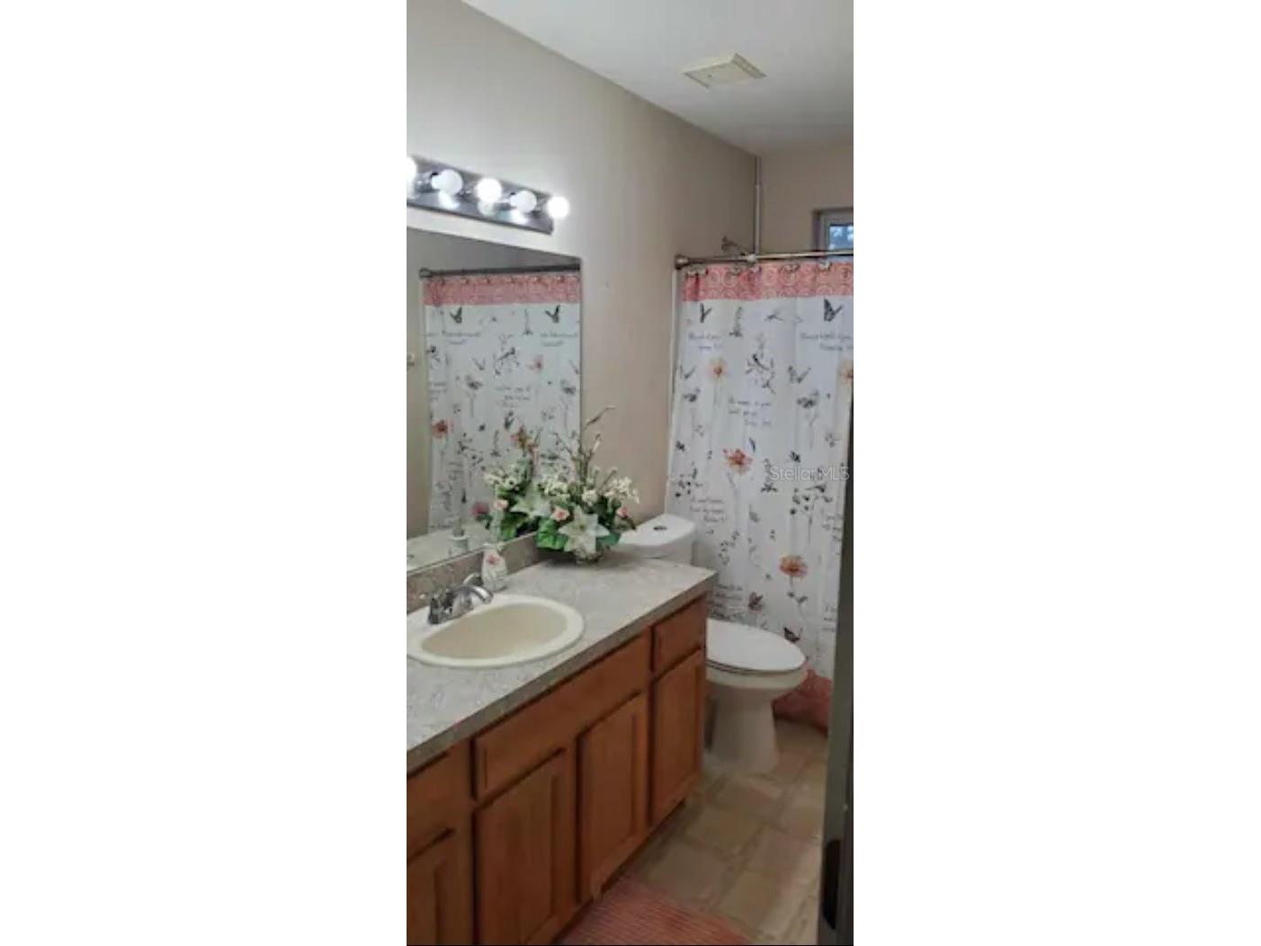  Brandon FL 33510 - LAKE MANGO TB8421402 image18