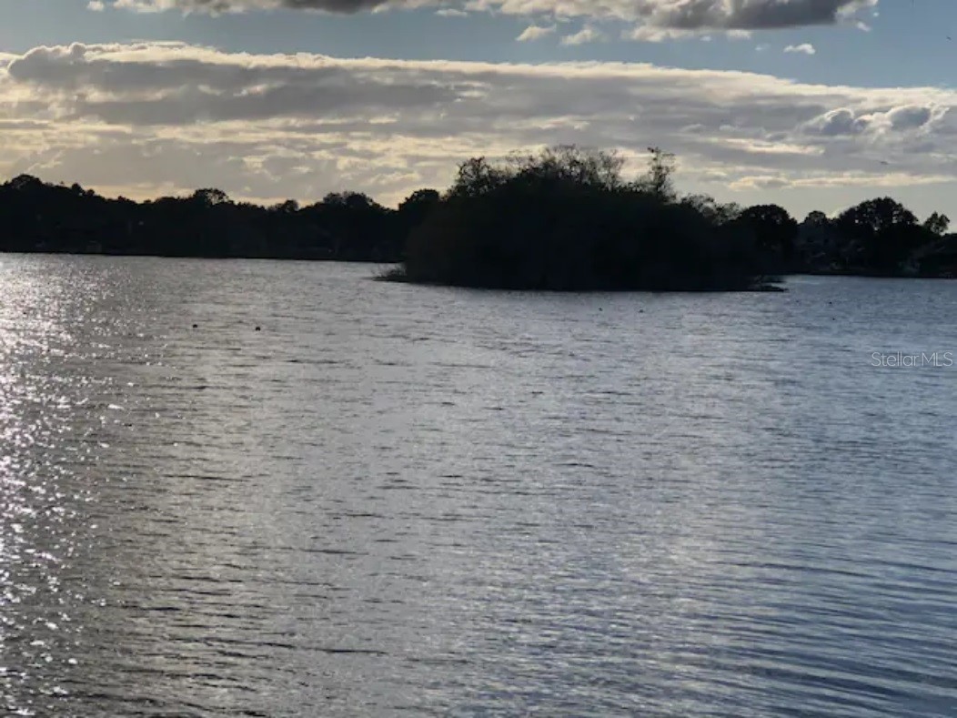  Brandon FL 33510 - LAKE MANGO TB8421402 image6