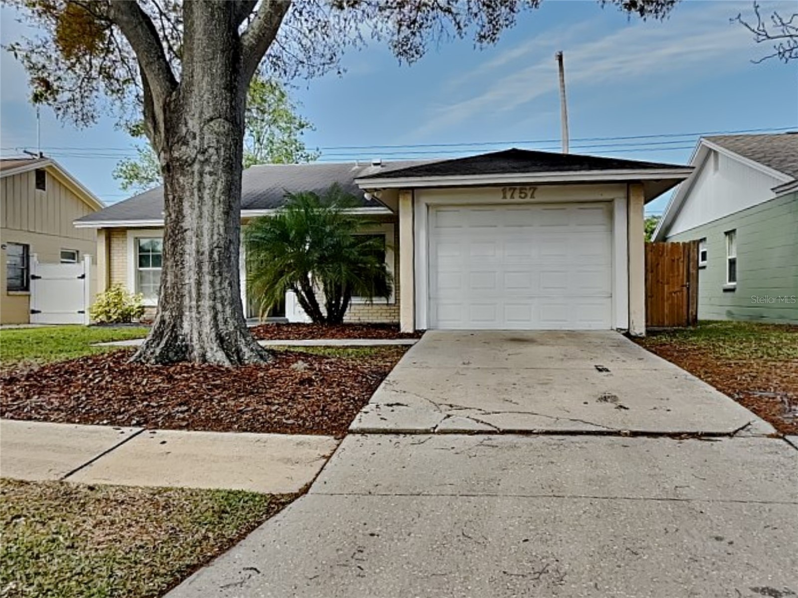  Brandon FL 33510 TB8489519 image1