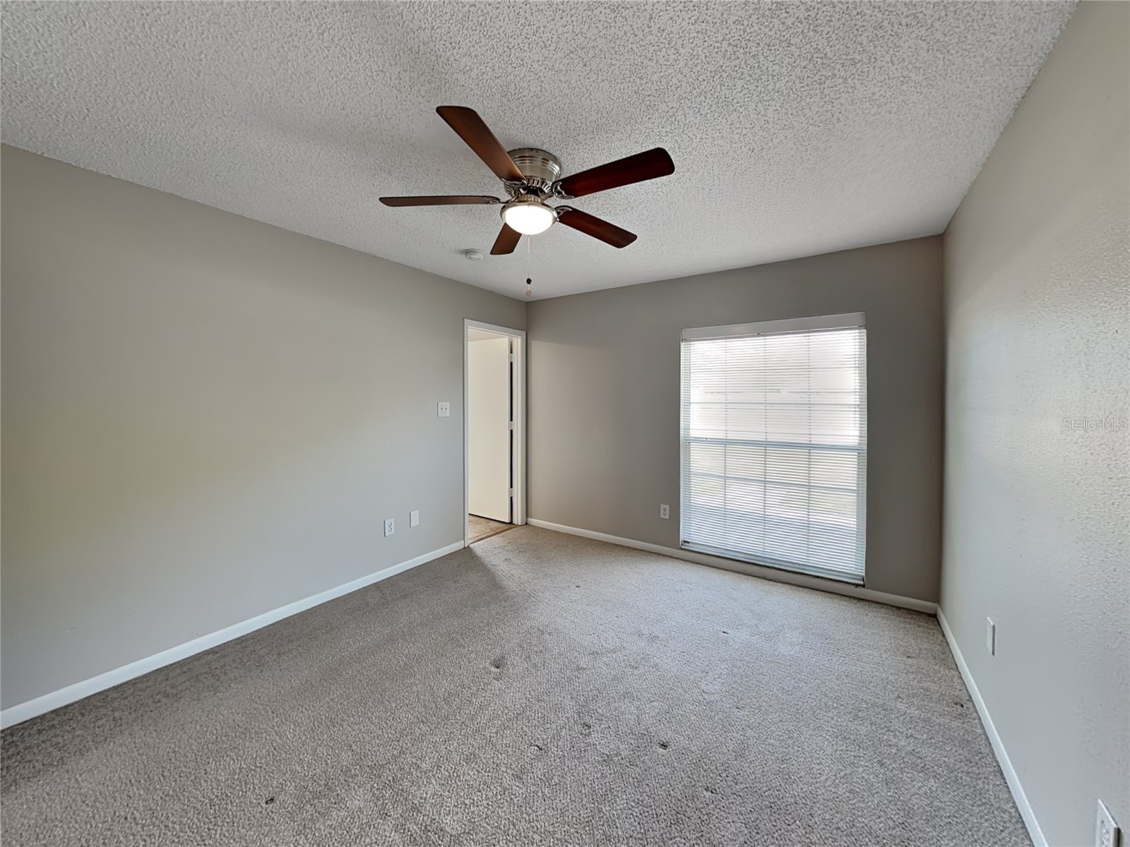  Brandon FL 33510 TB8489519 image7
