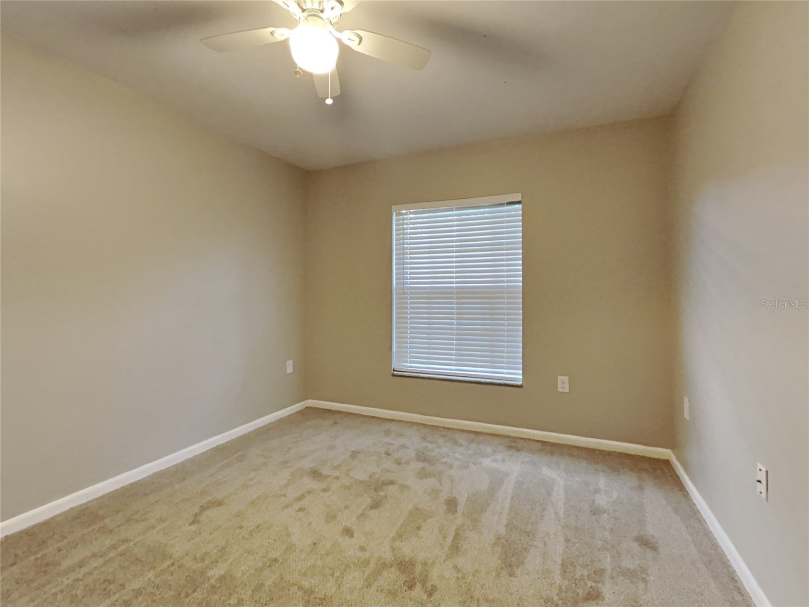  Brandon FL 33510 TB8510659 image14