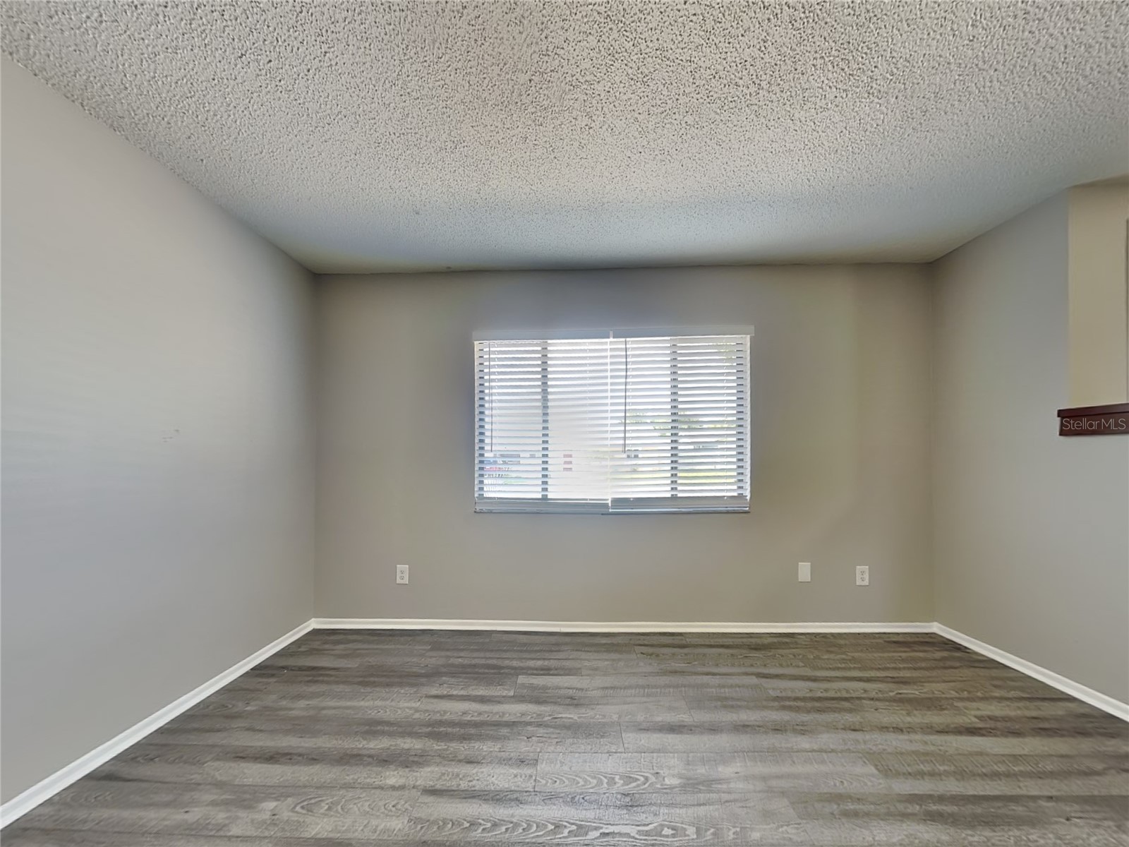  Brandon FL 33511 TB8503056 image2