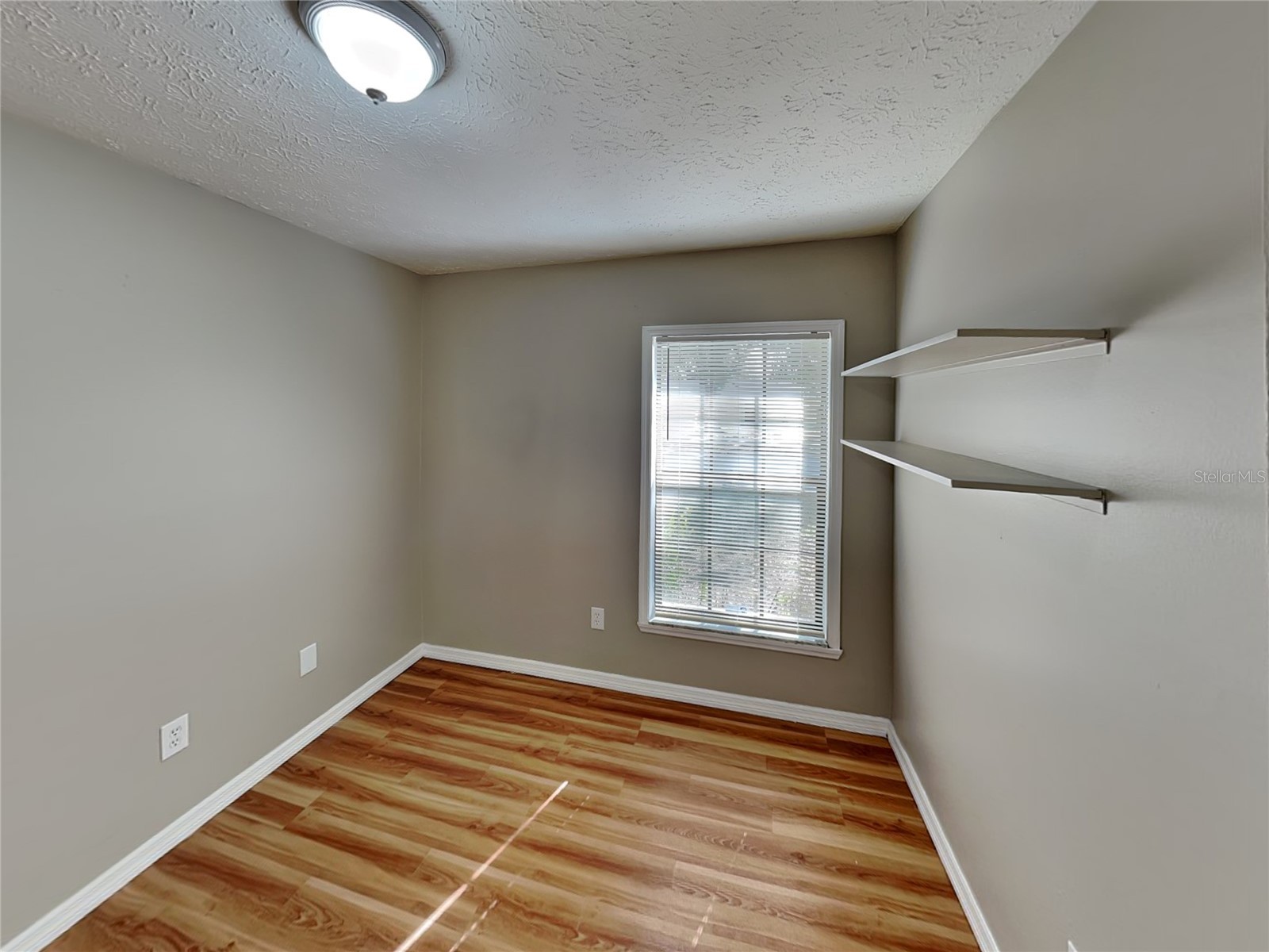  Brandon FL 33511 TB8511475 image14
