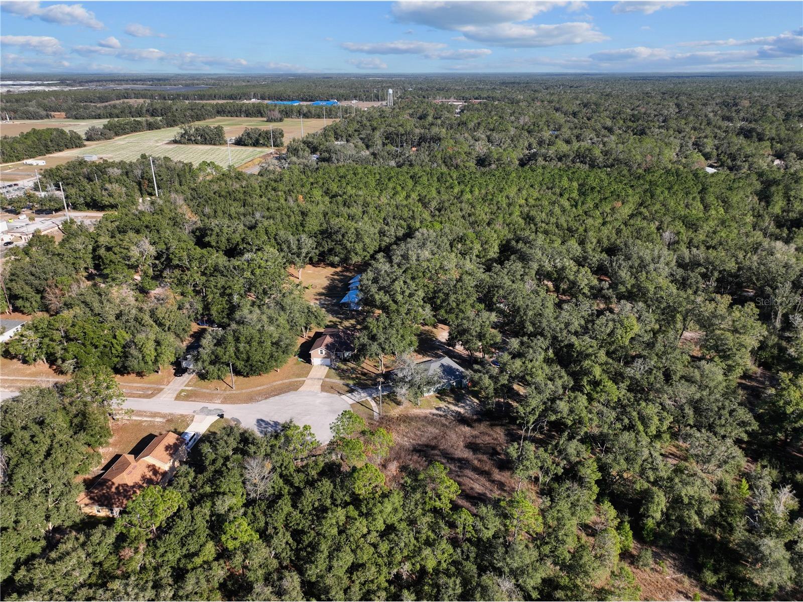  Bronson FL 32621 GC536140 image10