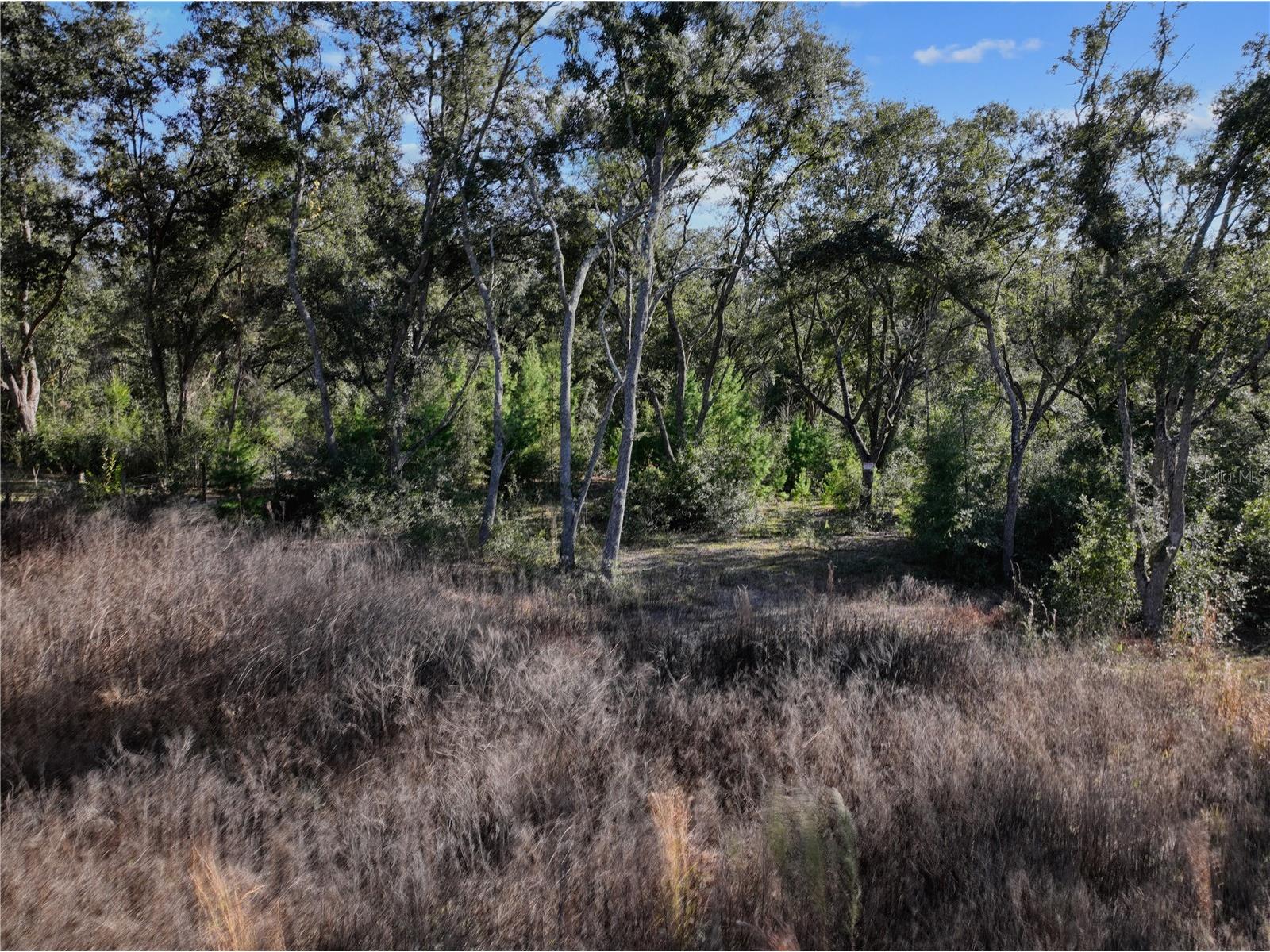  Bronson FL 32621 GC536140 image5