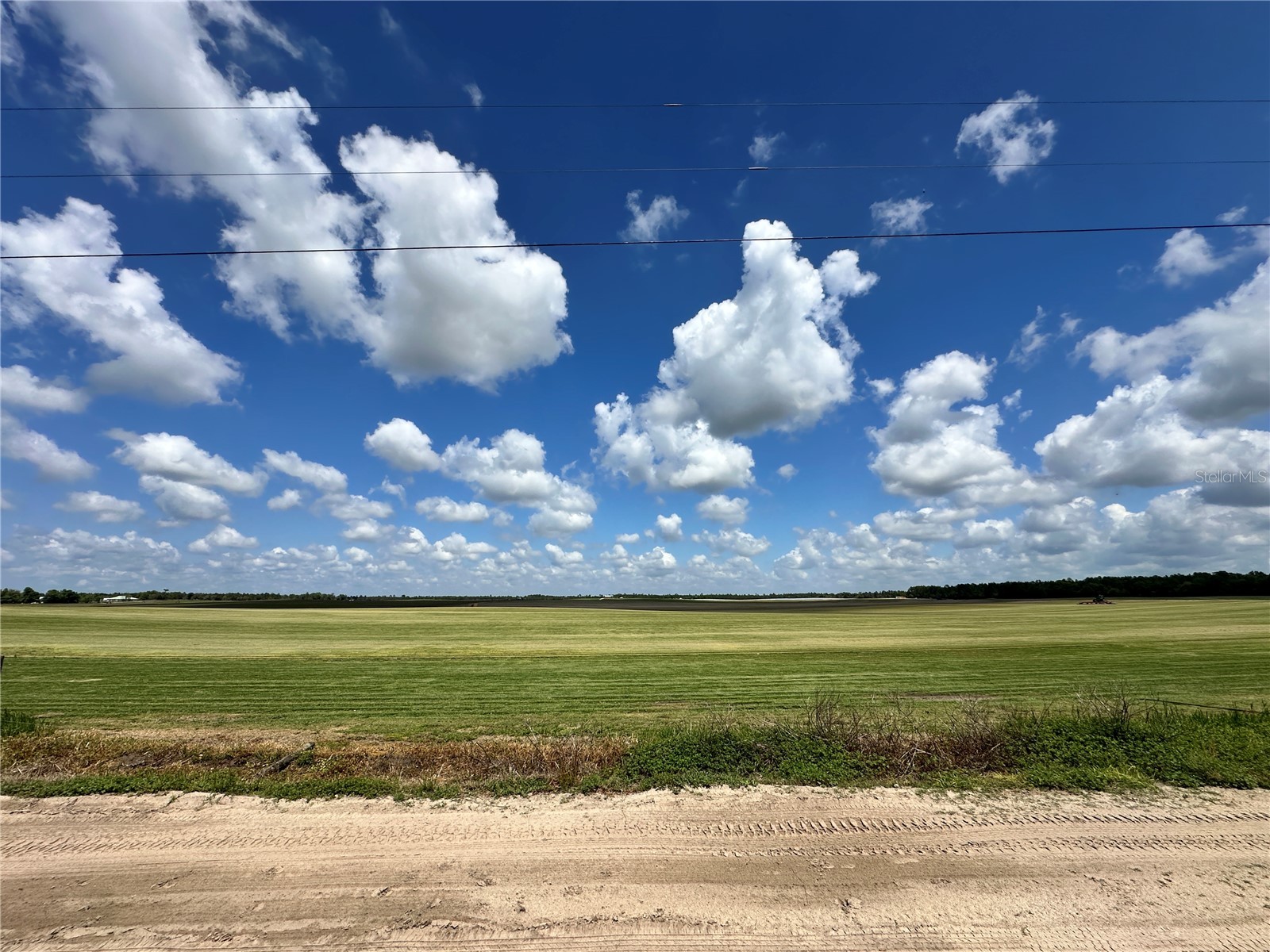  Bronson FL 32621 OM718827 image10