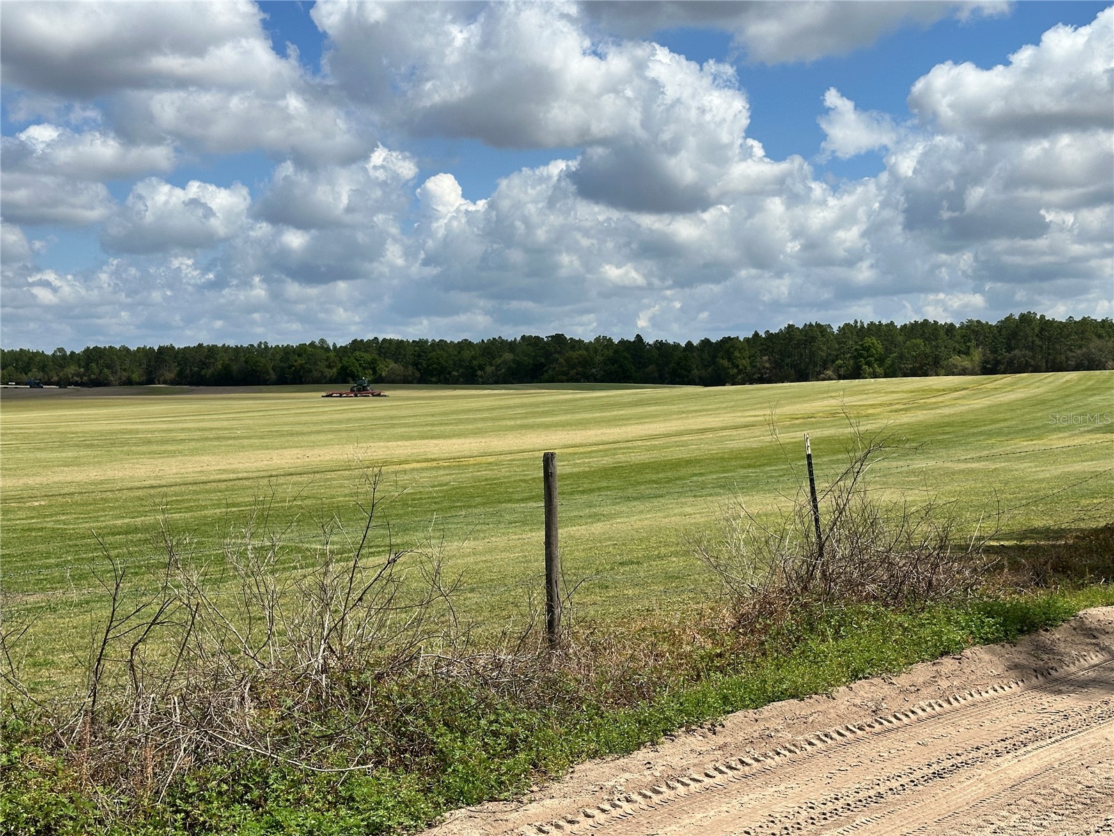 Bronson FL 32621 OM718827 image11