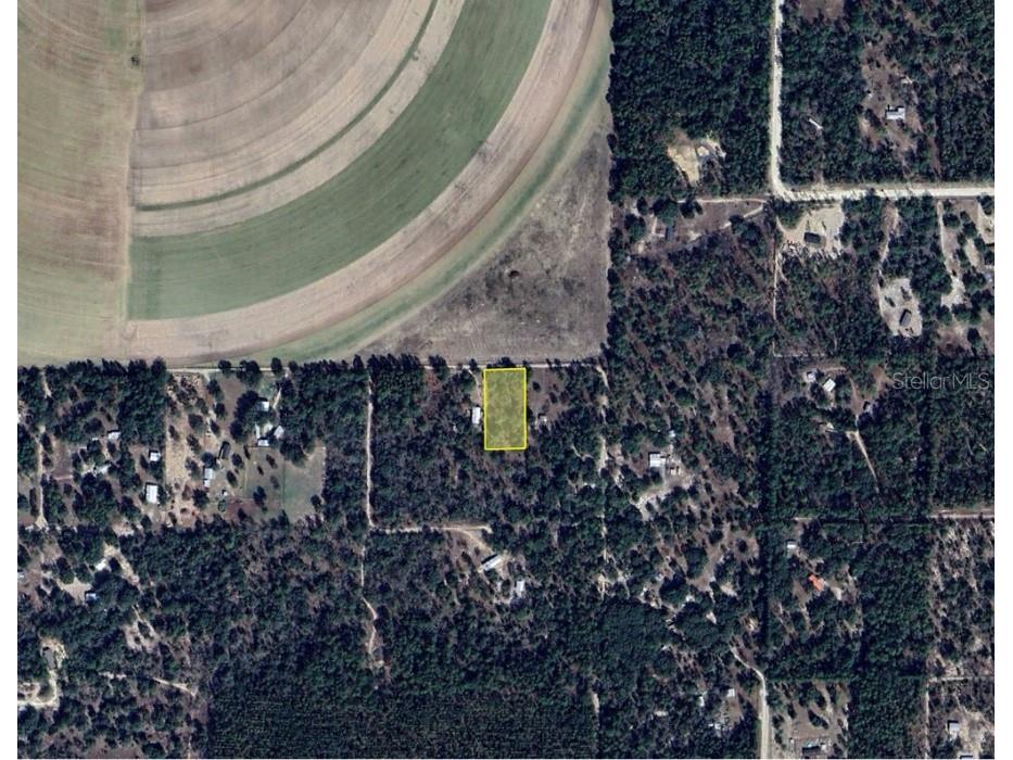  Bronson FL 32621 OM718827 image14