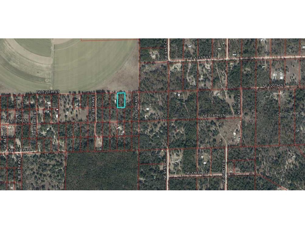  Bronson FL 32621 OM718827 image15