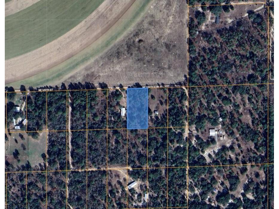  Bronson FL 32621 OM718827 image2