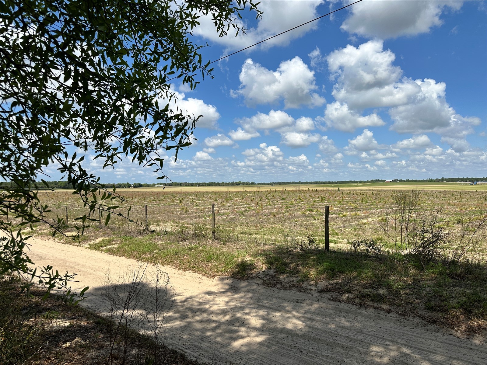  Bronson FL 32621 OM718827 image5