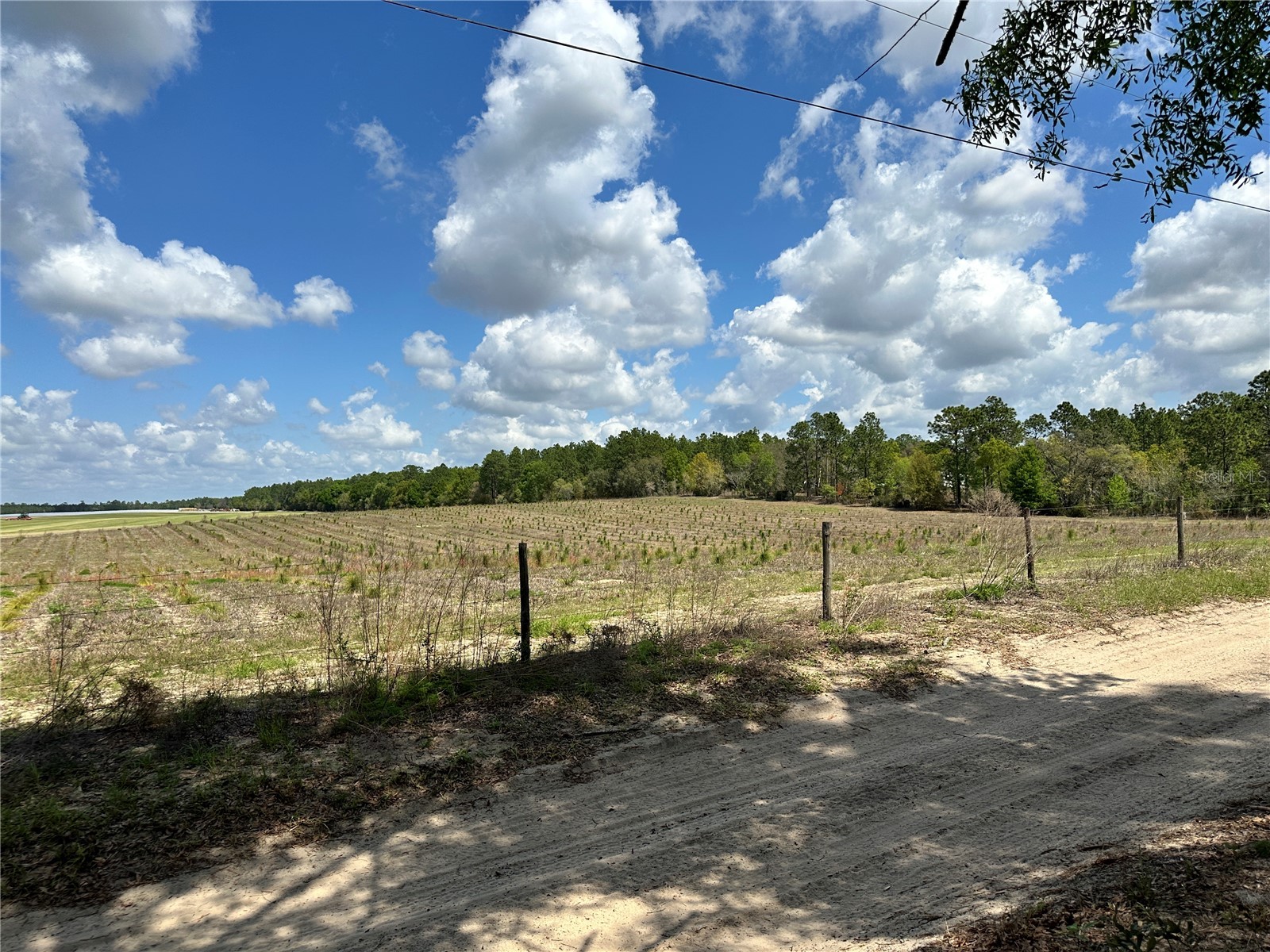  Bronson FL 32621 OM718827 image6